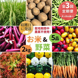 【ふるさと納税】【全3回定期便】【☆畑直送☆栽培期間中農薬不使用！】お 米 2kg & 野菜 5品 の セット 糸島市 / オーガニックナガミツファーム [AGE036] 52000円 5万2千円