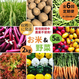 【ふるさと納税】【全6回定期便】【☆畑直送☆栽培期間中農薬不使用！】お 米 2kg & 野菜 5品 の セット 糸島市 / オーガニックナガミツファーム [AGE037] 103000円 10万3千円