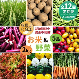 【ふるさと納税】【全12回定期便】【☆畑直送☆栽培期間中農薬不使用！】お 米 2kg & 野菜 5品 の セット 糸島市 / オーガニックナガミツファーム [AGE038] 206000円 20万6千円