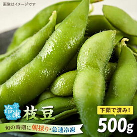 【ふるさと納税】枝豆 500g 冷凍 旬の時期に急速冷凍 【福岡県糸島産】 糸島市 / オーガニックナガミツファーム 野菜 えだまめ[AGE042]