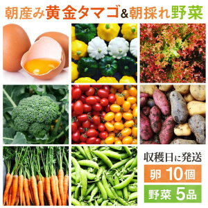 yӂ邳Ɣ[Łz̒Y݉^}S10 ǂVN5i ZbgyYz s / I[KjbNiK~ct@[ ʎq ₳ [AGE046] 15000~ 15~