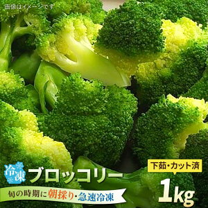 yӂ邳Ɣ[ŁzubR[ 1kg Ⓚ {̎ɋ}Ⓚ yYz s / I[KjbNiK~ct@[ [AGE053] 21000~ 21~