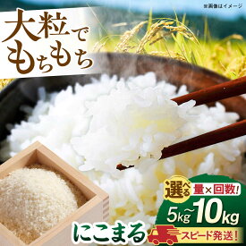 【ふるさと納税】【令和7年産】選べる配送 白米 5kg 10kg にこまる 玄米品質1等米 糸島市産 糸島市 / 糸島の恵み コメ こめ ご飯[AGR001] 10000円 1万円 19000円 2万円以下 常温