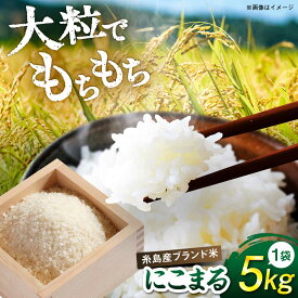 【ふるさと納税】【令和7年産】 にこまる 玄米品質1等米 白米 5kg 糸島市産 糸島市 / 糸島の恵み コメ こめ ご飯[AGR001] 11000円 1万1千円 常温