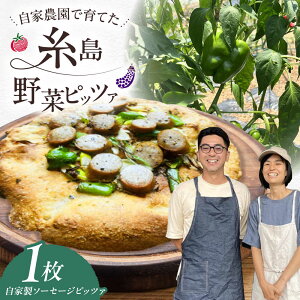 yӂ邳Ɣ[Łzy SY z \[Z[W VRy Ssbc@ 1 s / 킩܂_[AHB058] sU  Ⓚ 9000~ 9~