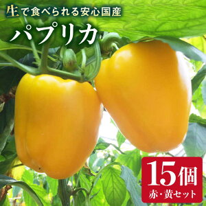 yӂ邳Ɣ[Łz pvJ 15  Y V[u s [AHC032] 28000~  s[}