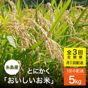 yӂ邳Ɣ[ŁzyS3(1)ցz Ƃɂ Ђ̂Ђ ܂ ɂ܂ 5kg s / V[u [AHC047]   72000~ 7~