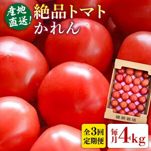 yӂ邳Ɣ[ŁzystzyS3ցzԌ { Y ig}g  (4kg28ʑO) y2025N12{ȍ~zs / V[u  Ƃ܂[AHC066] 퉷 71000~ 71~