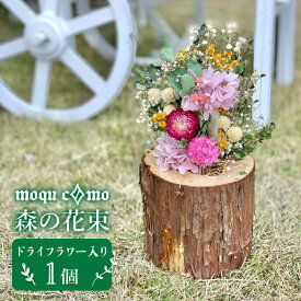 【ふるさと納税】≪森の花束 ≫ソロ（ドライフラワー入りポットの単品）《糸島》【木工房 moqu c0mo】 [AHF002] 20000円 2万円