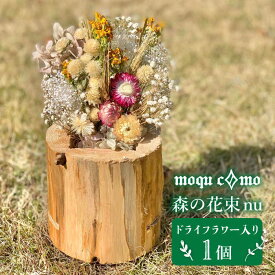 【ふるさと納税】≪森の花束 nu ≫ソロ（ドライフラワー入り研き本体の単品）《糸島》【木工房 moqu c0mo】 [AHF003] 22000円