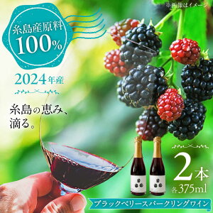 yӂ邳Ɣ[Łz2024NY YubNx[Xp[NOC 375ml 2{Zbg / s / HYM FARM /  ԃC[AHM003] C x[ 16000~ 16~ ①
