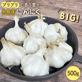 【ふるさと納税】【数量限定！】にんにく500g 大きい！美味しい！糸島市からお届けする自慢のにんにくです≪糸島市≫【爽風農園】【いとしまごころ】[AHZ001] 常温 11000円 1万1千円