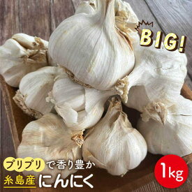 【ふるさと納税】【数量限定！】にんにく1kg 大きい！美味しい！糸島市からお届けする自慢のにんにくです≪糸島市≫【爽風農園】【いとしまごころ】[AHZ002] 常温 16000円 1万6千円