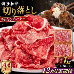 yӂ邳Ɣ[ŁzyS12ցzyA4/A5za ؂藎Ƃ 1kg (500gx2P) s / qT_t[Y јa  XCX [AIA101] 300000~ 30~