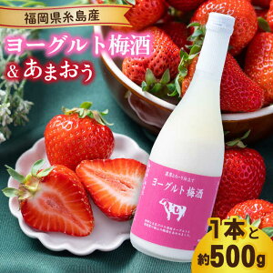 yӂ邳Ɣ[Łzys\zy~z[Og~720ml ×܂ 250g×2pbN y2025N12{ȍ~zs / 썑t[c [AIK012] 16000~