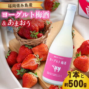 yӂ邳Ɣ[Łzys\zytz[Og~720ml ×܂ 250g×2pbN y2026N2{ȍ~z s / 썑t[c [AIK013]14000~ s\