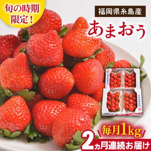 yӂ邳Ɣ[Łzys\zyS2ցzYy~z܂ 4pbN 1kg y2025N12{ȍ~zs / 썑t[c [AIK024] 41000~