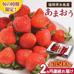 yӂ邳Ɣ[Łzys\zyS2ցzYy~z܂ 2pbN 500g y2025N12{ȍ~zs / 썑t[c [AIK025] 23000~