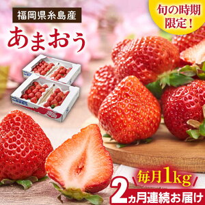 yӂ邳Ɣ[Łzys\zyS2ցzYytz܂ 4pbN 1kg y2026N2菇zs / 썑t[c [AIK026] 24000~ s\