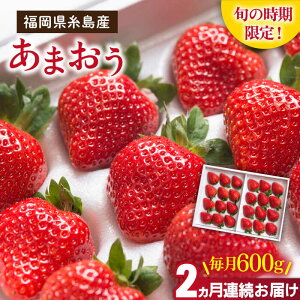 yӂ邳Ɣ[Łzys\zyS2ցzY ܂ Mtg   600g (24-30) y2026N1菇zs / 썑t[c [AIK028] 32000~ s\