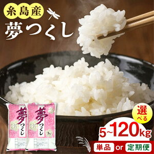 �y�ӂ邳�Ɣ[�Łz�y�N�������z�y�ߘa7�N�Y�V�āz �����Y ������ 5kg/10kg/20kg �I�ׂ�L�����Ƃ��͂��� �����s / �O�����X [AIM001] ���� ����� 16000 1��6��~