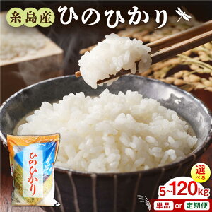 �y�ӂ邳�Ɣ[�Łz�y�N�������z�y�ߘa7�N�Y�V�āz�����Y �Ђ̂Ђ��� 5kg/10kg/20kg �I�ׂ�L�����Ƃ��͂��� �����s / �O�����X [AIM004] ���� ����� 15000 1��5��~