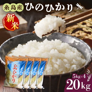 yӂ邳Ɣ[Łzyߘa7NYVāzY Ђ̂Ђ 20kg y2025N11ȍ~zs / OX[AIM075]   퉷 56000~ 56~