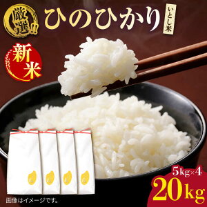 yӂ邳Ɣ[Łzyߘa7NYVāzƂ IЂ̂Ђ20kg(Y)@y2025N11ȍ~zs / OX[AIM077]   퉷 64000~ 64~