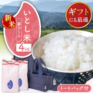 yӂ邳Ɣ[ŁzyVĐs\zƂ I Premium Gift 4kg (2kg×2) CXobOt y2025N9{菇zs / OX /   Mtg[AIM079]   24