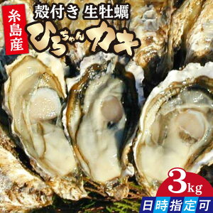 yӂ邳Ɣ[ŁzywzMp kty 3kg ^y y Ђ낿JL / s [AJA003-3] 18000~