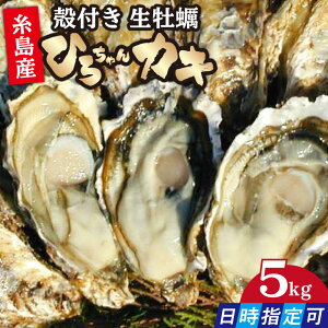 yӂ邳Ɣ[ŁzywzMp kty 5kg ^y Ђ낿JL / s [AJA010]