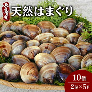 yӂ邳Ɣ[ŁzYVR͂܂10 (2×5P) s / Ђ낿JL  n}O [AJA017] L 13000~