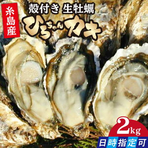 yӂ邳Ɣ[ŁzMp kty 2kg y JL kt JL a s / Ђ낿JL[AJA021]