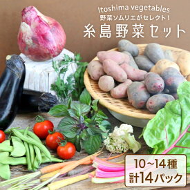 【ふるさと納税】旬を味わう『糸島野菜セット』 10〜14種（計14パック） イタリア野菜 オーガニック 野菜ソムリエ松永 vegeLabo [AJB001] 20000円 2万円
