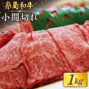 yӂ邳Ɣ[Łz10̊󏭘aIa܂1kg  / g~[gZ^[ [AJD003] 16000~