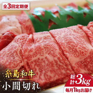 yӂ邳Ɣ[ŁzyS3ցz10̊󏭘aIa܂1kg  / g~[gZ^[ [AJD011] 48000~