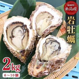 【ふるさと納税】【特大!!】岩牡蠣 糸島産 2kg (約6~10個) 糸島 / JF糸島 糸島漁業協同組合 [AKD005] 11000円 岩カキ 岩ガキ 生食用 楽天限定