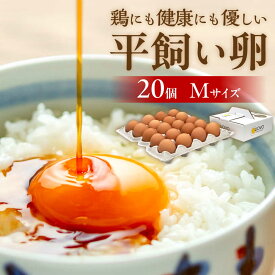 【ふるさと納税】平飼い卵「天上卵」20個セット 糸島市 / 糸島ファームハウスUOVO [AKH001] 鶏卵 卵 平飼い 平飼い卵 たまご 玉子 1万円 常温 11000円 1万1千円