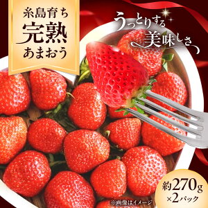 yӂ邳Ɣ[Łzys\z sY n ܂  i270g×2pbNj y2026N4ȍ~z s / mhshops /  C`S[AKQ001] t[c ʕ 10000~ 1~ ①