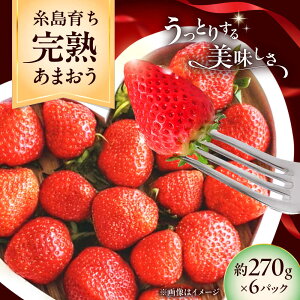 yӂ邳Ɣ[Łzys\z sY n ܂  i270g×6pbNj y2026N4ȍ~z s / mhshops /  C`S[AKQ003] t[c ʕ 23000~ 23~ ①