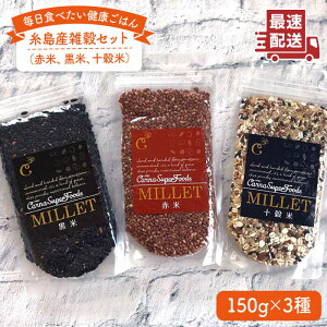 yӂ邳Ɣ[ŁzYGZbg v450g s / Carna [ALA021] 7000~ 7~
