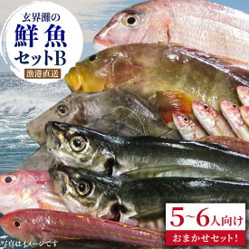 【ふるさと納税】福吉漁港直送！玄界灘の鮮魚セットB (5,6人向け) 福ふくの里 [ALD002]
