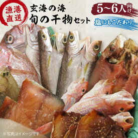 【ふるさと納税】塩にもこだわり！玄海の海旬の干物大満足セット(5,6人向け) 福ふくの里 [ALD004] 1万5千円 15000円 1万5千円
