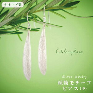 yӂ邳Ɣ[ŁzA`[t I[utsAX() /Chloroplast/NvXg/WG[[ALF004]ᎅs 49000~