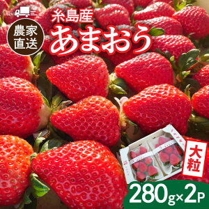 yӂ邳Ɣ[Łzys\z(_ƒI) Y ܂ 280g×2pbN (DX܂GTCY) y2025N12ȍ~zs / 㓡_ [AML001]  C`S  11000~ Mtg