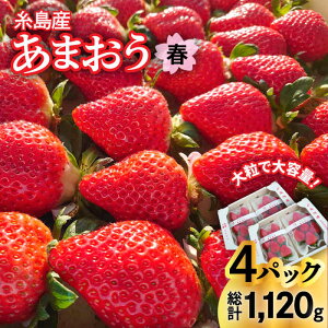 yӂ邳Ɣ[Łzys\z(_ƒI) Y t ܂ 280g × 4pbN (DX܂GTCY) y2026N1{ȍ~zs / 㓡_ [AML002]  C`S  15000~ Mtg