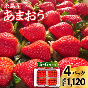 yӂ邳Ɣ[Łzys\z(_ƒI) Y ܂ 280g × 4pbN (STCY`GTCY) y2026N1{ȍ~z@s / 㓡_ [AML003]  C`S  12000~ Mtg