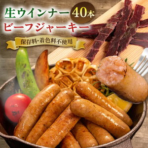 yӂ邳Ɣ[ŁzECi[ 40{(5{×8) { r[tW[L[ s / uX[NnEX[AOA041] 16000~ 16~