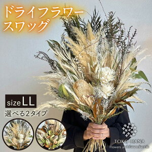 yӂ邳Ɣ[ŁzhCt[XbO LLTCY  / tokohana [AOC001] 76000~ ԑ