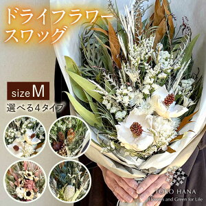 yӂ邳Ɣ[ŁzhCt[ XbO MTCY s / tokohana [AOC002] XbO ԑ 31000~
